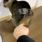 Thumbnail of related posts 124