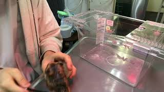 Thumbnail of post image 103