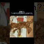 Thumbnail of related posts 189