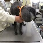 Thumbnail of related posts 137