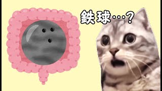 Thumbnail of post image 041