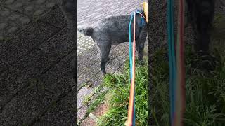 Thumbnail of post image 020