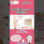 Thumbnail of related posts 024