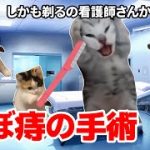 Thumbnail of related posts 177